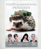Poster showing hedgehog in curlers. Text: “wigs that stand out” (pun on herausstechende, written as HAIRrausstechende)