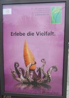 Poster showing squid with carrot for a head; text reads: “Experience the Variety”