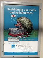 Hedgehog making love to a washing brush; glasses on ground next to hedgehog. Text reads: “Independent of glasses and contact lenses.”