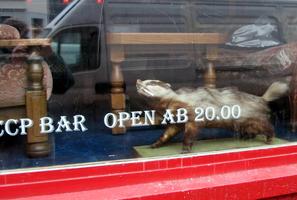 Stuffed badger with cigarette in mouth; in window of CCCP bar