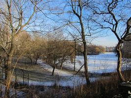 Bare trees of park; frozen river at right