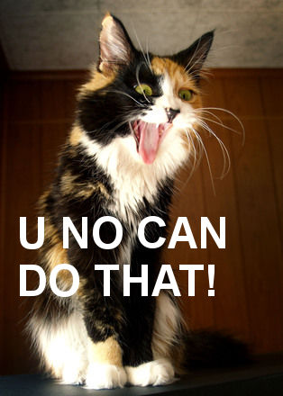 angry cat saying 'U NO CAN DO THAT!'