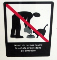 sign saying not to feed cats