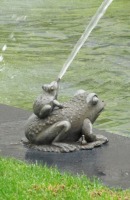 closeup of frog spraying water