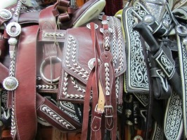 Saddles with fancy embroidery