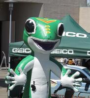 Large inflated Geico gecko