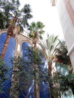 Palm trees against a wall of archways with blue tiling