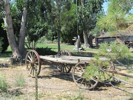 old wooden wagon; petrified tree in background