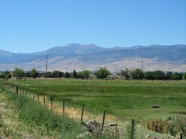 green field in foreground; mountain in background