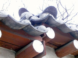 Roof tile closeup at T'apkol Park 