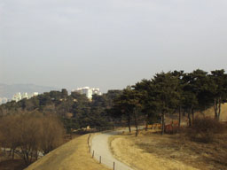 View of Olympic Park (7) 