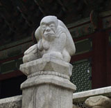 Monkey at Kyeongbokkung 