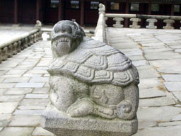 Turtle at Kyeongbokkung 