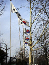 Korean Flags 