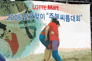 Poster for housewife Korean style folk wrestling