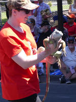 Person in orange shirt holding iguana
