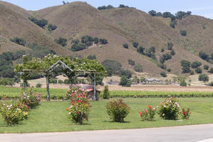 Long view of winery; hills in background, wooden framework in foreground