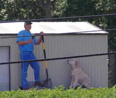 shed with large cardboard images of a worker with a shovel and wineglass and a dog at the right