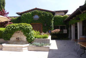 Winery entrance with ivy covering wall over door and fountain