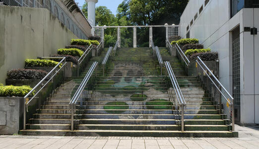 Staircase with sides of steps painted; when viewed from distance, it is a lake with plants and a swan swimming in the lake.