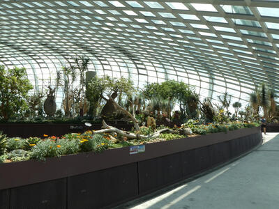 flower dome long view