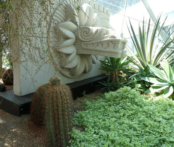 cactus near aztec sculpture