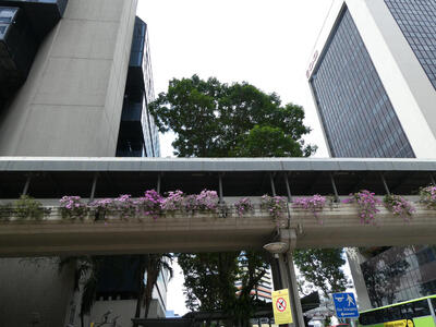 planters on pedestrian overpass