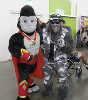 Two people in gorilla suits
