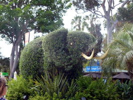 Topiary in shape of elephant