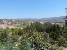 View of landscape from higher area of park