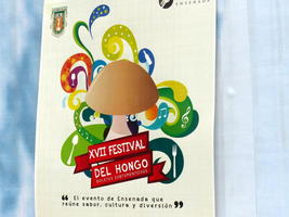 Poster for 17th mushroom festival