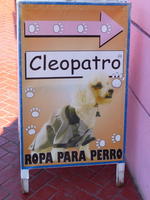 Sign: Cleopatro - clothes for dogs