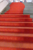 Carpeted stairway; carpet color shows curve when viewed from bottom