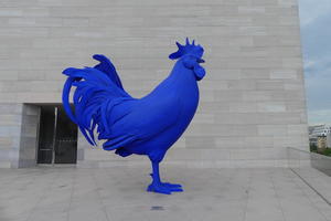 Large bright blue rooster
