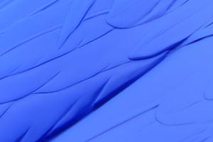Closeup of rooster feathers