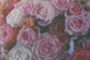 Extreme closeup of Jumbotron showing pixels of a bouquet of roses