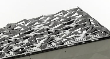 Snow on latticework roof