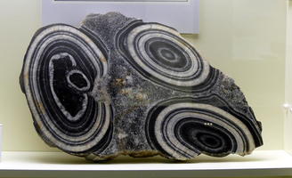 Stone with gray, black, and white ring patterns