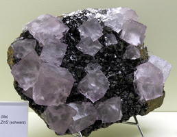 Lilac crystals in black stone