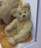 Teddy bear with confused/quizzical expression