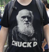 T-shirt of Charles Darwin with caption CHUCK D