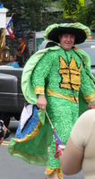 Man in green costume with crown on front