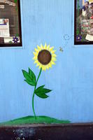 Sunflower and bee with blue background painted on wall
