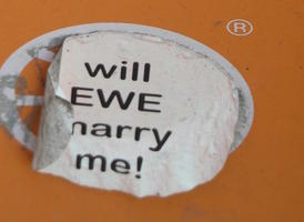 Sticker: will EWE marry me!