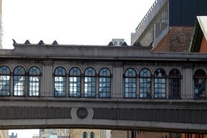 Elevated walkway between buildings as seen from Highline