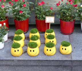 smiley face planters