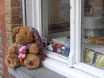 teddy bear in shop window