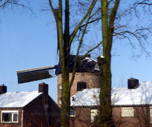 Dutch windmill behind two thin trees