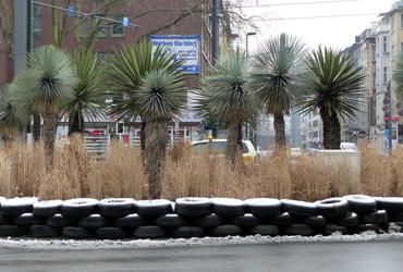 Palm trees in a traffic island made of old tires.