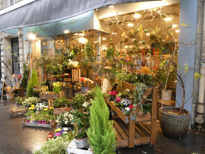 Flower shop with outdoor display of flowers and other plants.